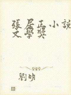 张居正小说茅盾文学奖