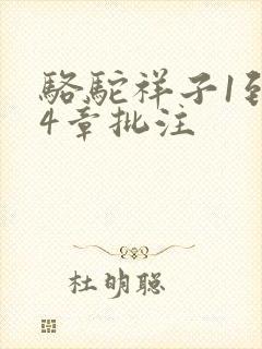 骆驼祥子1到24章批注