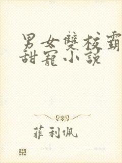 男女双校霸校园甜宠小说