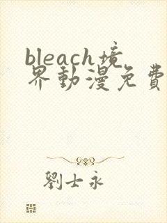 bleach境界动漫免费观看全集完整版高清
