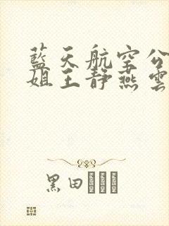 蓝天航空公司空姐王静燕云外篇小说