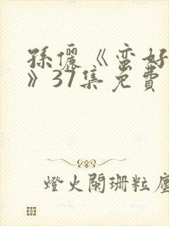 孙俪《蛮好人生》37集免费观看