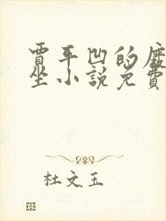 贾平凹的废都暂坐小说免费阅读
