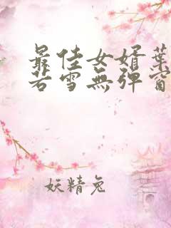 最佳女婿叶凡唐若雪无弹窗免费阅读