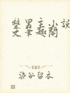 双男主小说高干文笔趣阁