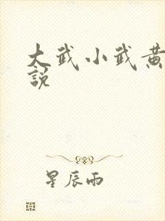 大武小武黄蓉小说