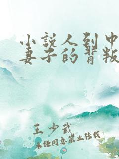 小说人到中年:妻子的背叛免费阅读全本