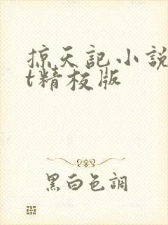 掠天记小说txt精校版