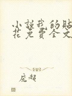 小说我的贴身校花免费全文阅读