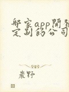 哪家app开发定制的公司好