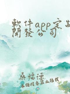 软件app定制开发公司