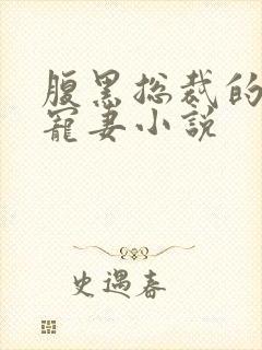 腹黑总裁的天后宠妻小说