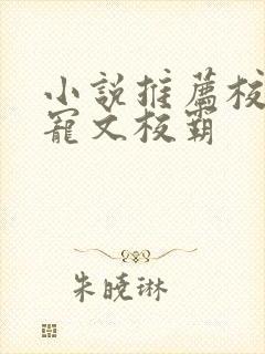 小说推荐校园甜宠文校霸