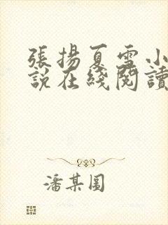 张扬夏雪小蔓小说在线阅读