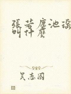 张若尘池瑶小说叫什么