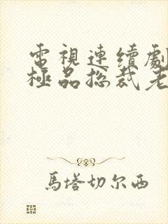 电视连续剧我的极品总裁老婆