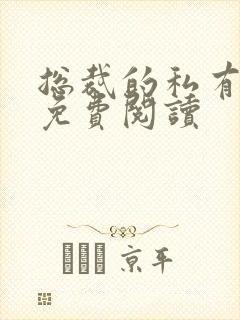 总裁的私有宝贝免费阅读