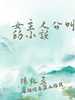 女主人公叫苏晓的小说