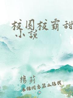 校园校霸甜宠文 小说