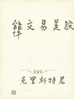 能交易美股的软件