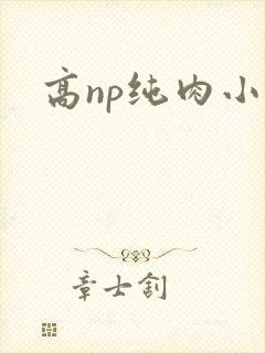高np纯肉小说