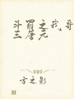 斗罗之我哥是唐三唐元