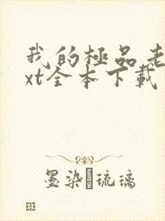 我的极品老婆txt全本下载