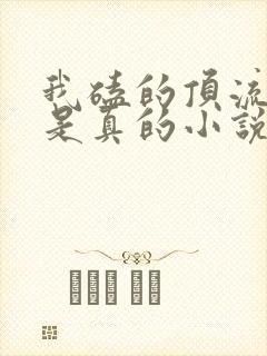 我磕的顶流cp是真的小说下载