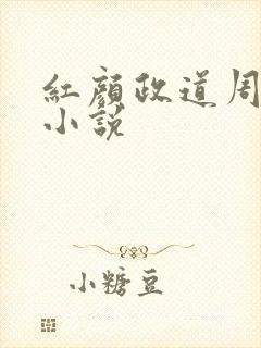 红颜政道周平的小说