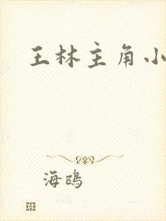王林主角小说