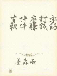 有什么打字录入软件赚钱的