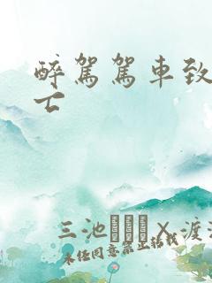醉驾驾车致人死亡