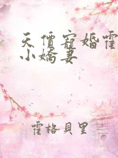 天价宠婚霍总是小娇妻