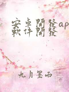 安卓开发app软件开发