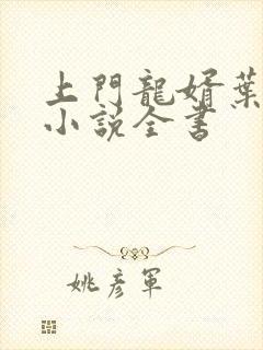 上门龙婿叶辰的小说全书