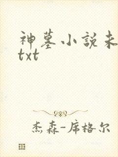 神墓小说未删版txt