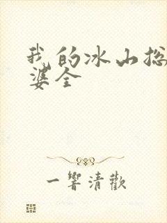 我的冰山总裁老婆全