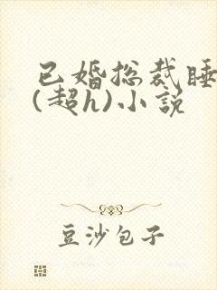 已婚总裁睡秘书(超h)小说