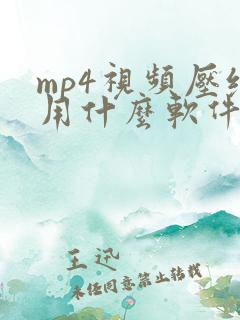 mp4视频压缩用什么软件