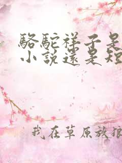 骆驼祥子是长篇小说还是短篇小说