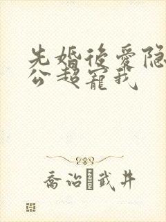 先婚后爱隐婚老公超宠我