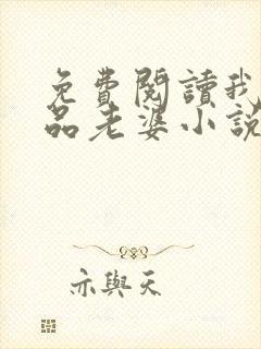 免费阅读我的极品老婆小说