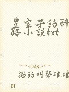 农家子的科举之路小说txt