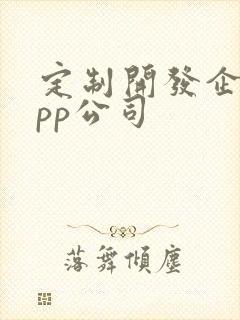 定制开发企业app公司