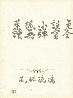 叶枫小说免费阅读无弹窗全文