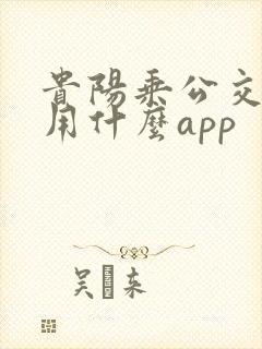 贵阳乘公交地铁用什么app