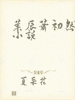 叶辰萧初然有声小说