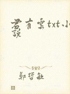 君有云txt小说