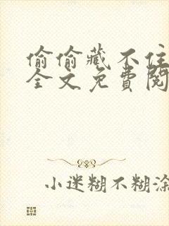 偷偷藏不住小说全文免费阅读无弹窗