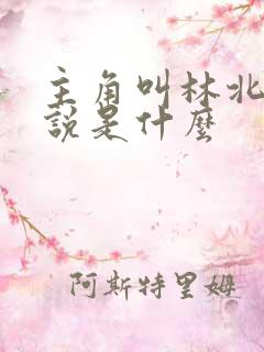 主角叫林北的小说是什么